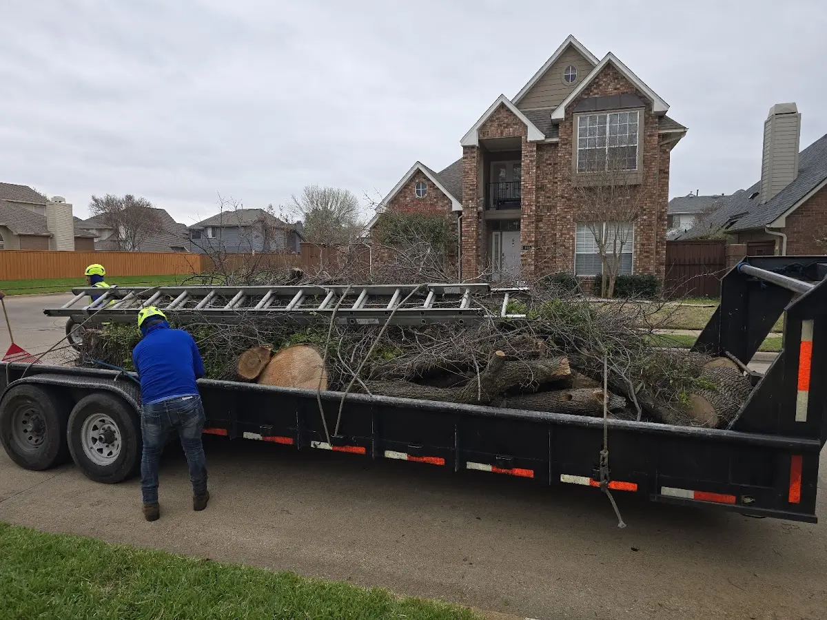 Expert Tree Pest Control with proper safety equipment in Dickinson Center